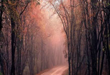 PG电子线上登入-韩国队力克印度队，李梓嘉带队取胜